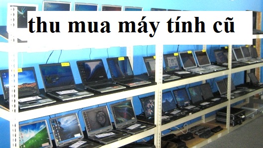 thu mua trung thu mua trung