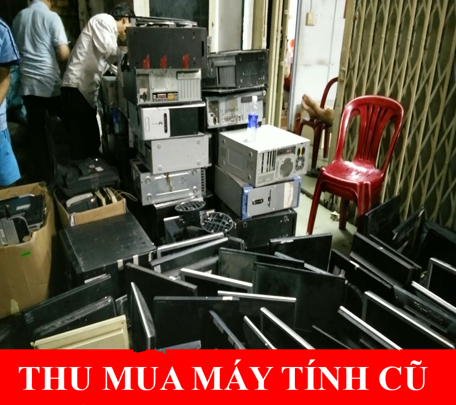 thu mua trung thu mua trung